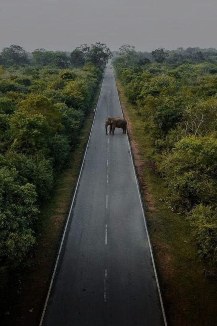 Buththala Katharagama Road